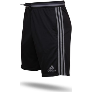 Vêtements Homme Shorts / Bermudas adidas Originals AN9839 Noir