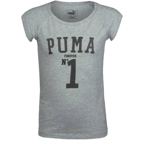Vêtements Garçon Puma Sweatshirt mit Logo am Ärmel in Schwarz Puma 836639 Gris