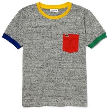 Vêtements Garçon T-shirts manches courtes Lacoste TJ3871 Gris