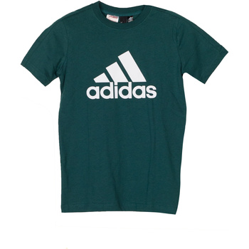 Vêtements Garçon T-shirts matchcourts courtes adidas Originals DJ1773 Vert