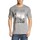 Vêtements Homme T-shirts manches courtes Puma 832426 Gris