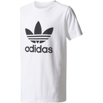 Vêtements Garçon T-shirts manches courtes adidas Black Originals BR8106 Blanc