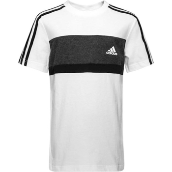 Vêtements Garçon T-shirts matchcourts courtes adidas Originals DN7344 Blanc