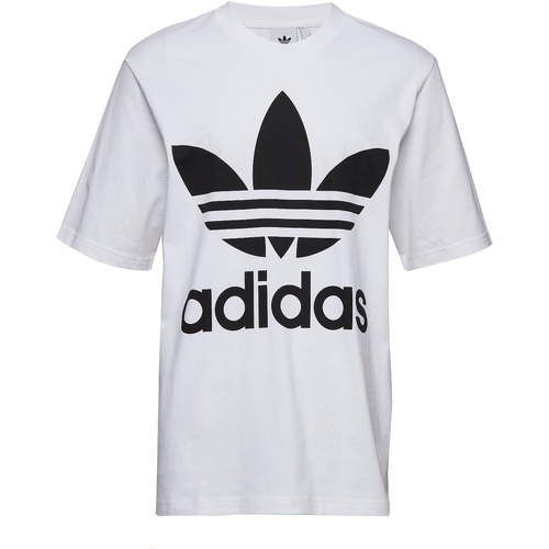 Vêtements Homme T-shirts manches courtes adidas Originals CW1212 Blanc