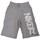 Vêtements Garçon Shorts / Bermudas Nike 454945 Gris