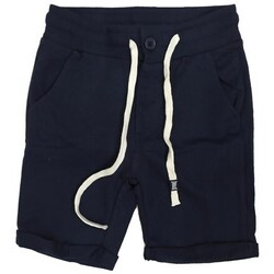 Vêtements Garçon Shorts / Bermudas Everlast 18J203F05 Bleu