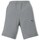 Vêtements Garçon Shorts / Bermudas ader Puma 832699 Gris