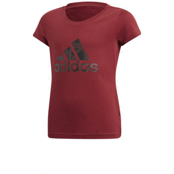 Vêtements Garçon T-shirts matchcourts courtes adidas Originals DJ1331 Bordeaux