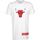Vêtements Homme T-shirts manches courtes New-Era 12195402 Blanc