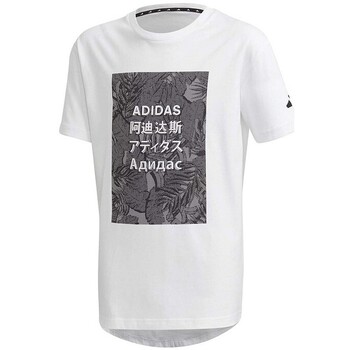 Vêtements Garçon T-shirts manches courtes adidas Originals FL2834 Blanc