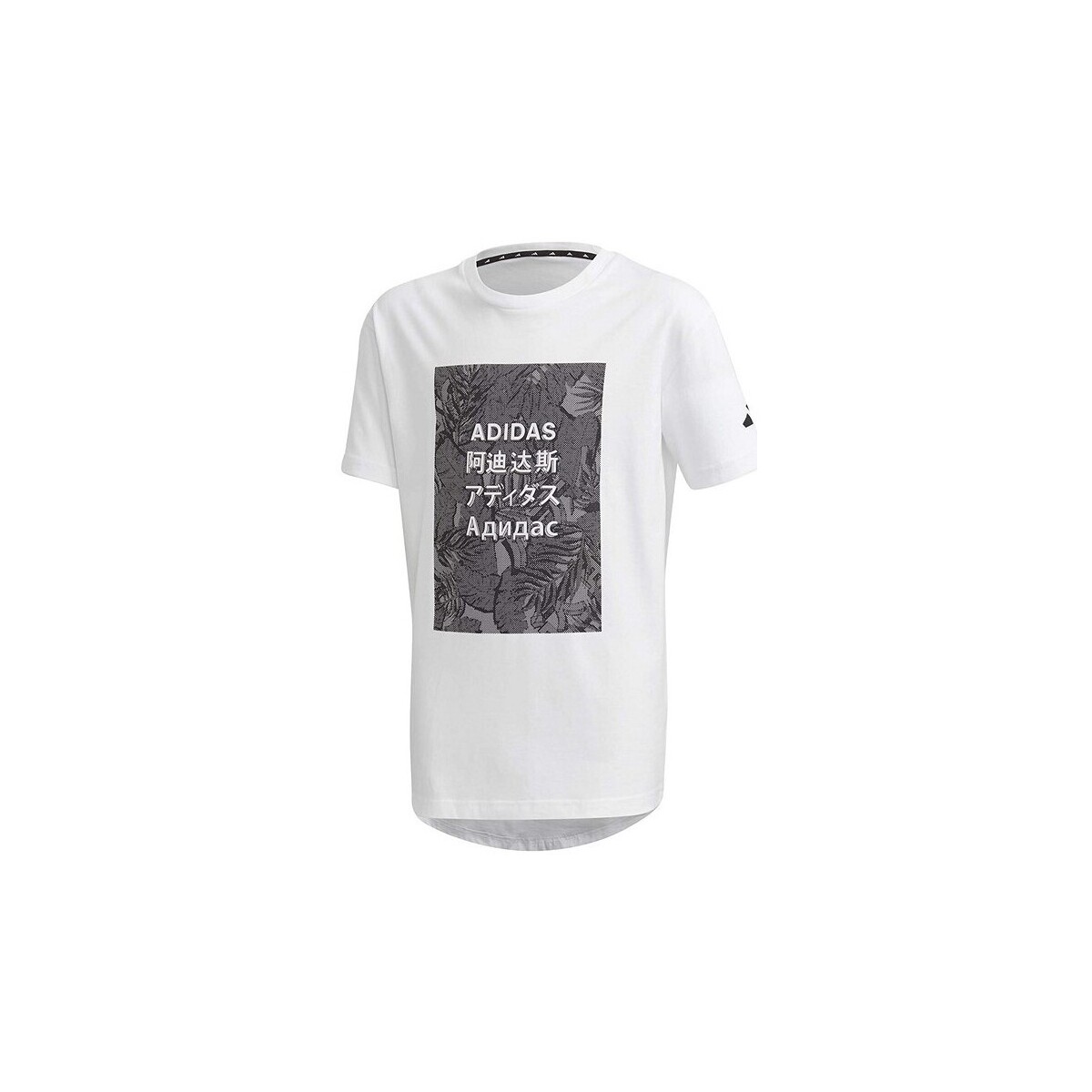 Vêtements Garçon T-shirts manches courtes adidas Originals FL2834 Blanc