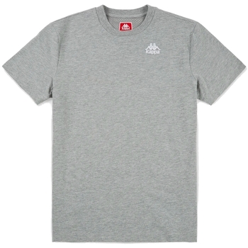 Vêtements Homme T-shirts manches courtes Kappa 303NK20 Gris