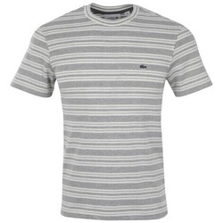 Vêtements Homme T-shirts manches courtes Lacoste TH5034 Blanc