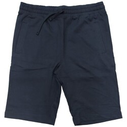 Vêtements Homme Shorts / Bermudas Emporio Armani EA7 272069-2A231 Gris