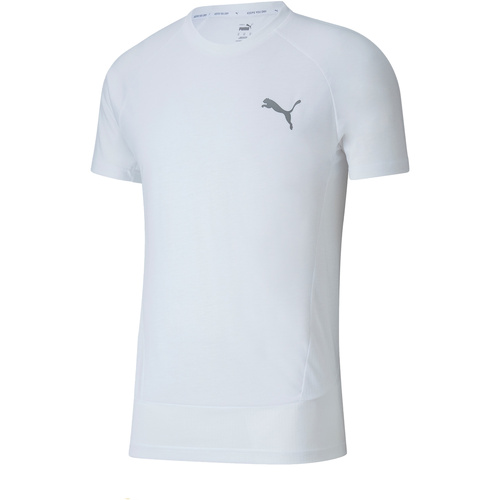 Vêtements Homme T-shirts manches courtes Puma 583462 Blanc