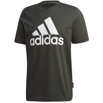 Vêtements Homme T-shirts manches courtes adidas Originals GK4993 Vert