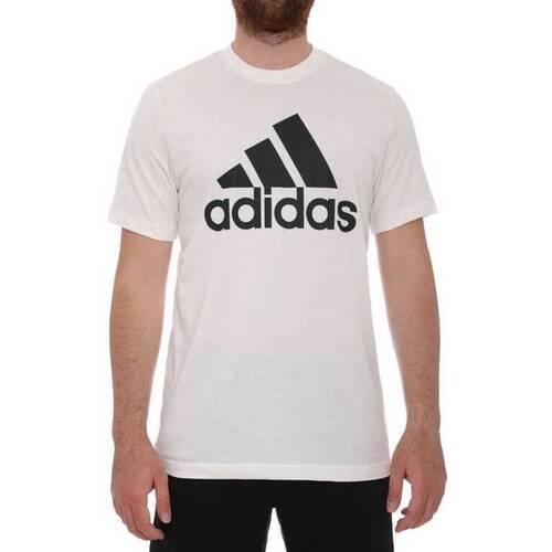 Vêtements Homme T-shirts manches courtes adidas Originals GC7348 Blanc