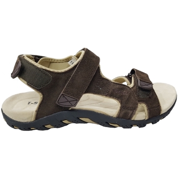 Chaussures Homme Sandales et Nu-pieds T-shoes TS079 Marron