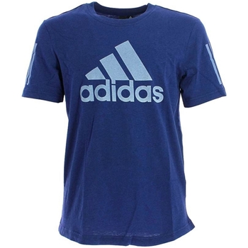 Vêtements Homme T-shirts manches courtes adidas Originals DM4062 Bleu