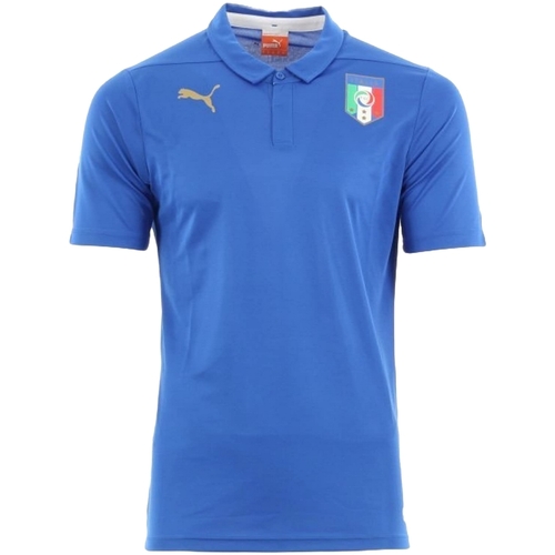 Vêtements Homme T-shirts manches courtes Puma 744306 Bleu