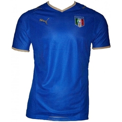 Vêtements Homme T-shirts manches courtes Puma 733916 Bleu