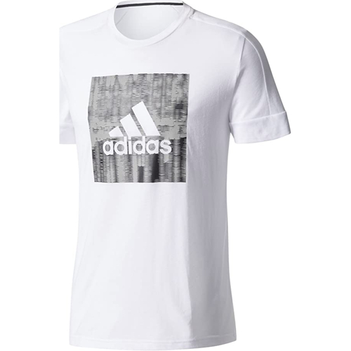 Vêtements Homme T-shirts manches courtes adidas Originals BR4052 Blanc