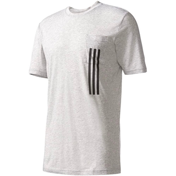 Vêtements Homme T-shirts manches courtes adidas Originals BP7039 Gris