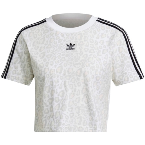 Vêtements Femme T-shirts manches courtes adidas Originals HB4756 Blanc