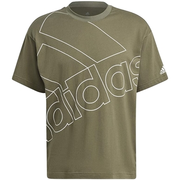 Vêtements Homme T-shirts manches courtes adidas Originals GK9428 Vert