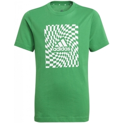 Vêtements Garçon T-shirts manches courtes adidas Originals GN1475 Vert