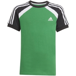Vêtements Garçon T-shirts manches courtes adidas Originals GQ4188 Vert