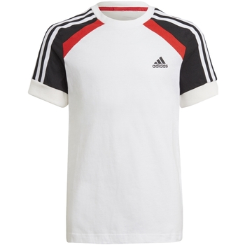 Vêtements Garçon T-shirts manches courtes adidas Originals GM6999 Blanc
