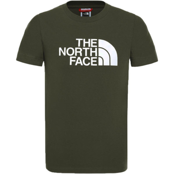 Vêtements Garçon T-shirts manches courtes The North Face NF00A3P7 Gris