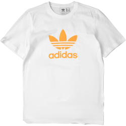 Vêtements Homme T-shirts manches courtes adidas Originals GN3486 Blanc