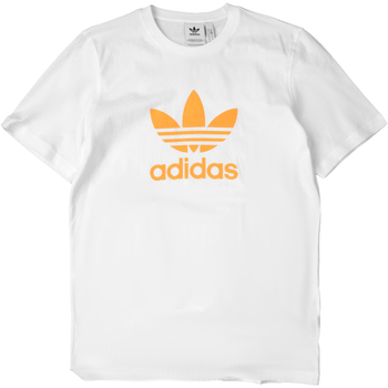 Vêtements Homme T-shirts manches courtes adidas Originals GN3486 Blanc