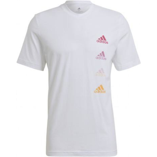 Vêtements Homme T-shirts manches courtes adidas Originals GK9416 Blanc