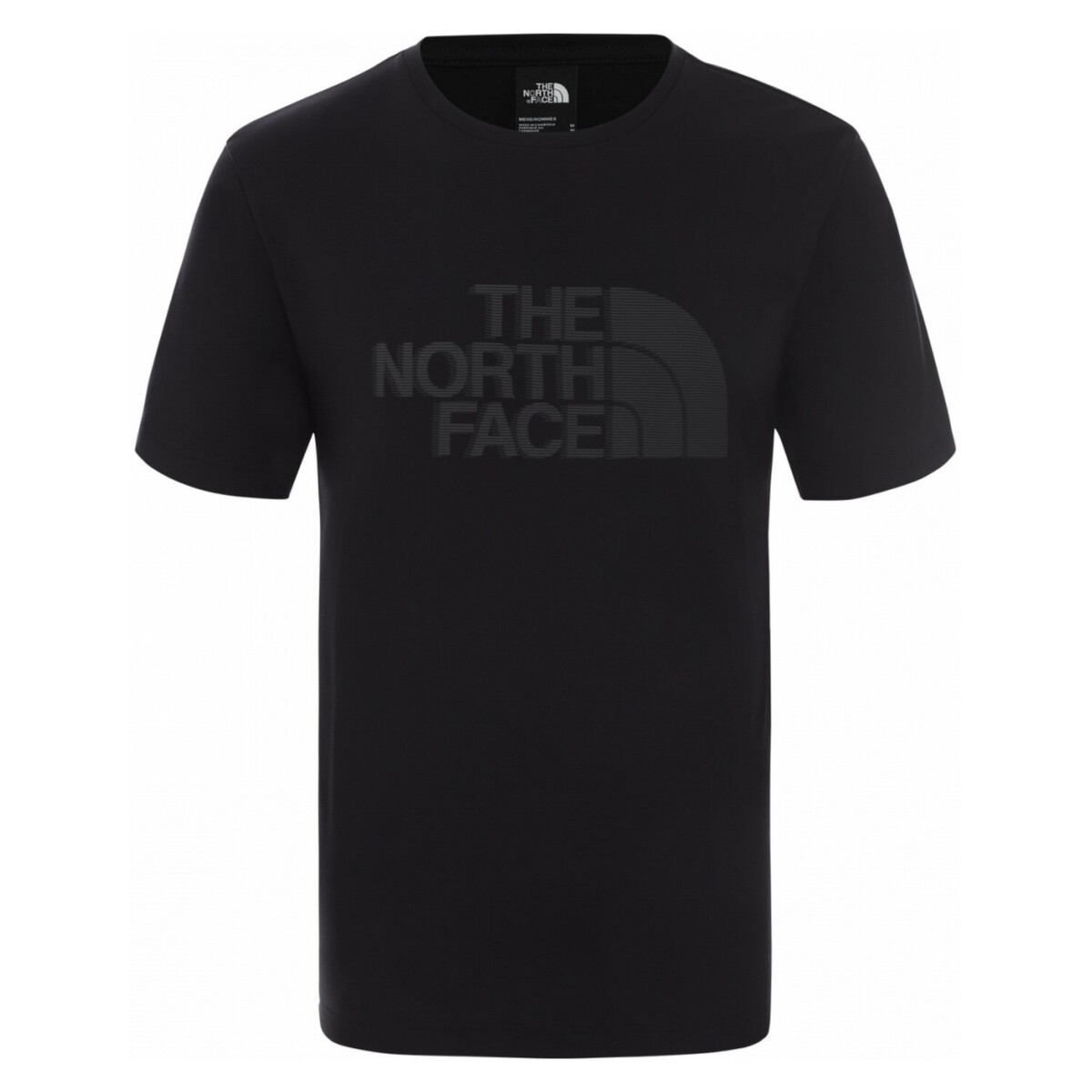 Vêtements Homme T-shirts manches courtes The North Face NF0A4962 Noir