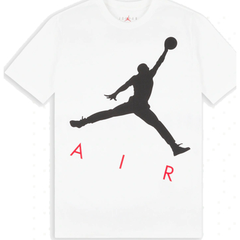 Vêtements Homme T-shirts manches courtes Nike CV3425 Blanc
