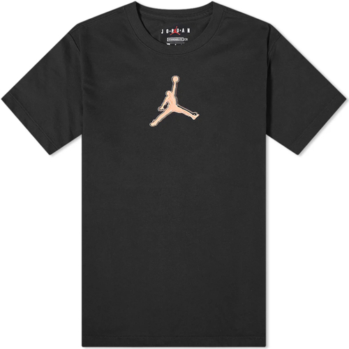 Vêtements Homme T-shirts manches courtes Nike CZ8087 Noir