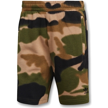 Vêtements Homme Shorts / Bermudas football adidas Originals GN1887 Kaki