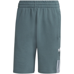 Vêtements Homme Shorts / Bermudas adidas Originals GN3591 Vert