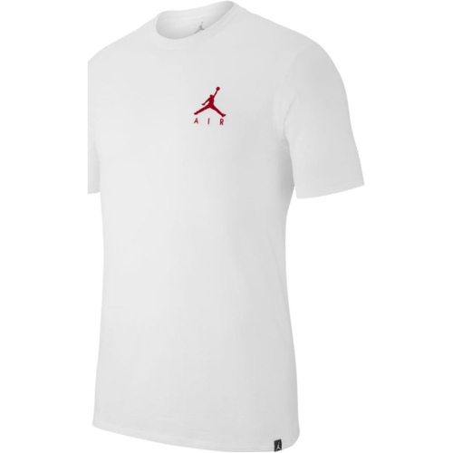 Vêtements Homme T-shirts manches courtes Nike AH5296 Blanc