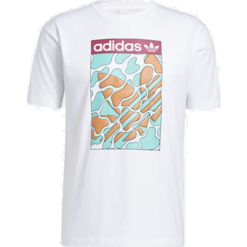 Vêtements Homme T-shirts PRINTED manches courtes adidas Originals GN3900 Blanc