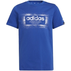Vêtements Garçon T-shirts manches courtes adidas Originals GT1408 Bleu