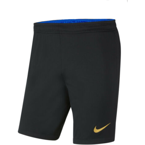 Vêtements Homme Shorts / Bermudas Nike CV8153 Noir