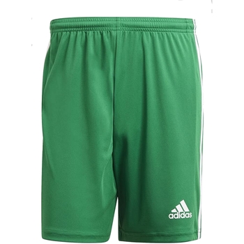 Vêtements Homme Shorts / Bermudas adidas Originals GN5769 Vert