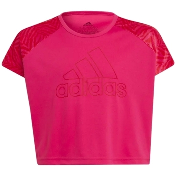 Vêtements Fille T-shirts manches courtes adidas Originals GT1416 Rose