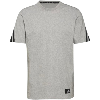 Vêtements Homme T-shirts manches courtes adidas Originals H39784 Gris