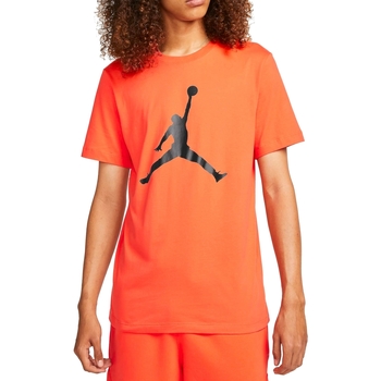 Vêtements Homme T-shirts manches courtes Nike CJ0921 Bordeaux