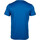 Vêtements Homme T-shirts manches courtes Dunlop 71332 Bleu